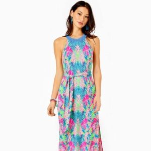 ✨Lilly Pulitzer✨Lilly Pulitzer✨Lilly Pulitzer✨ NWT Maxi Dress XL